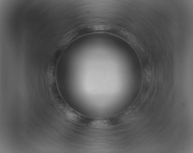 X0000073990422200608211353