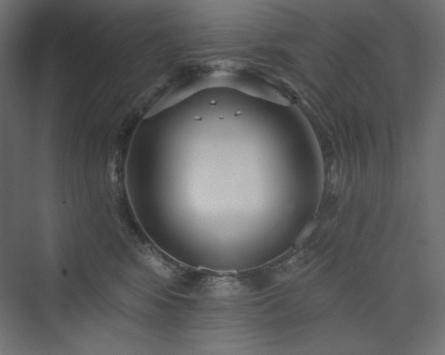 X0000073990424200608211353