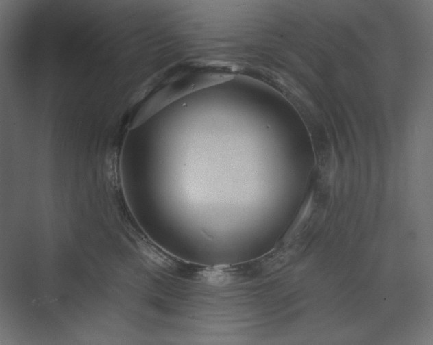 X0000073990425200608211353