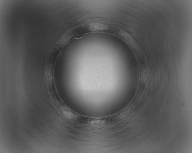 X0000073990426200608211353