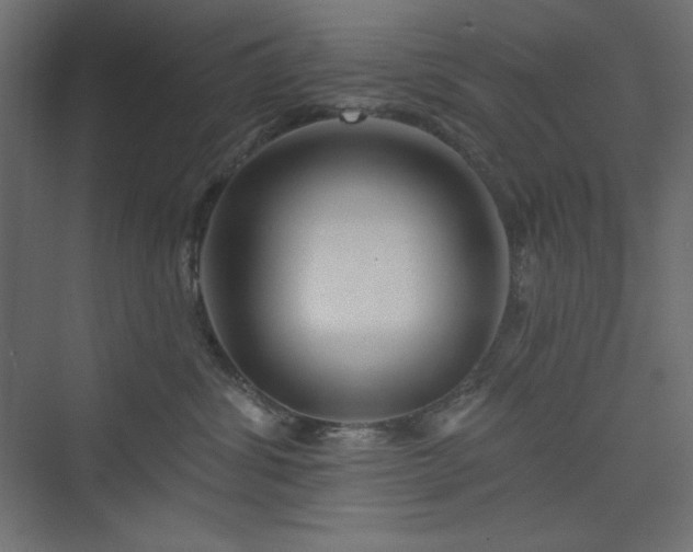 X0000073990428200608211353