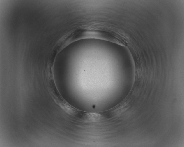 X0000073990429200608211353