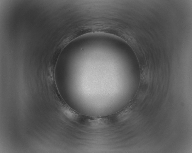 X0000073990430200608211353