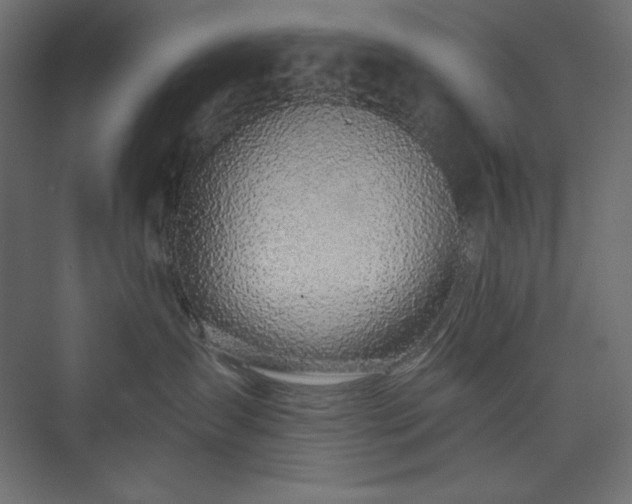 X0000073990431200608211353