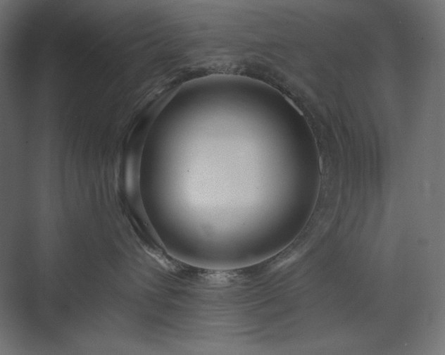 X0000073990432200608211353