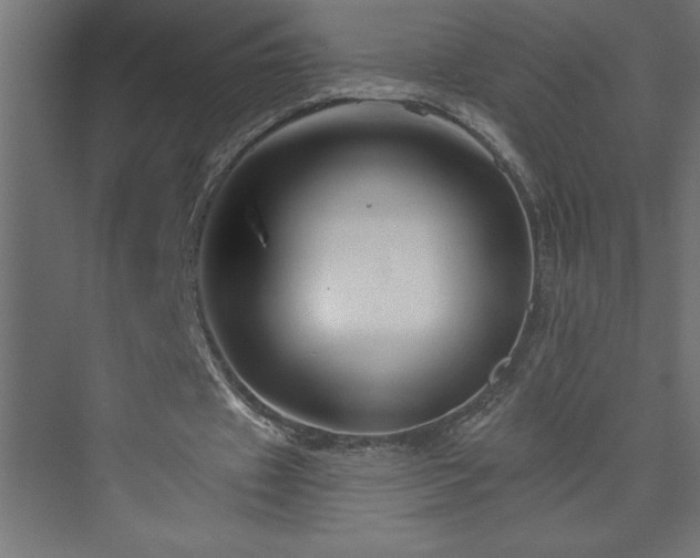 X0000073990433200608211352