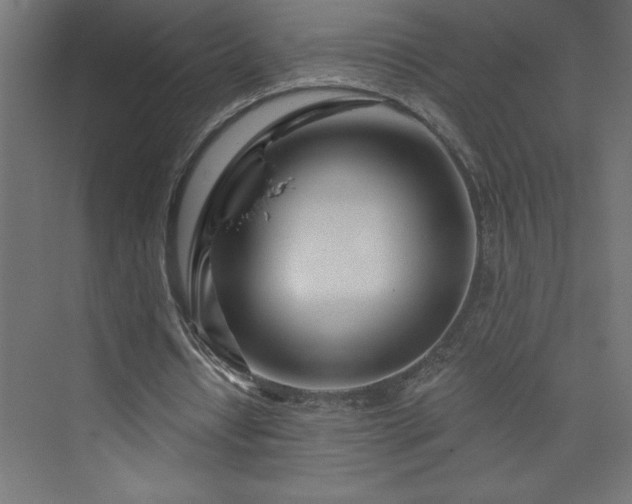 X0000073990434200608211352