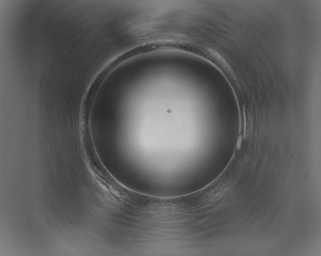 X0000073990435200608211352