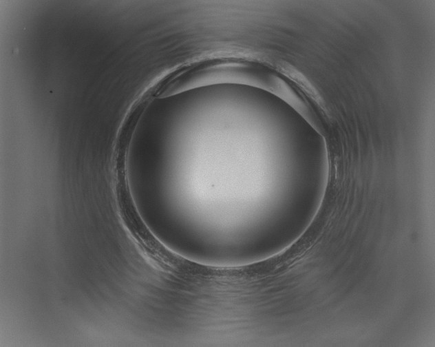 X0000073990436200608211352