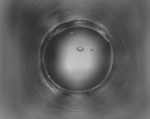 X0000073990439200608211352