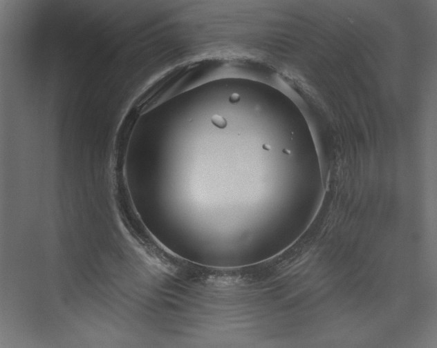 X0000073990440200608211352