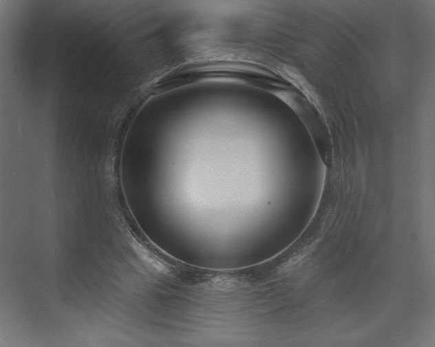 X0000073990441200608211352