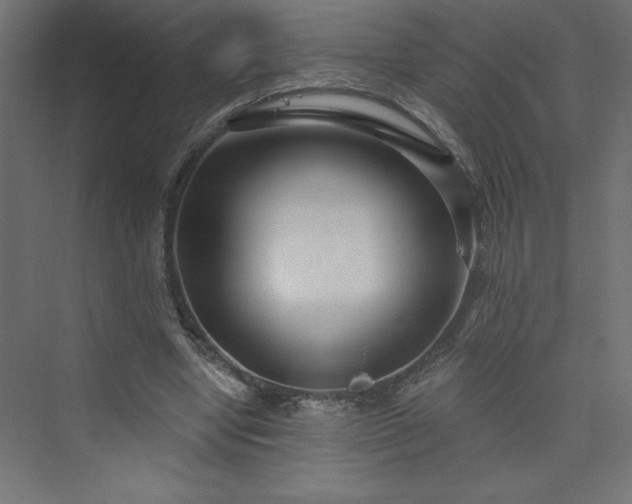 X0000073990442200608211352