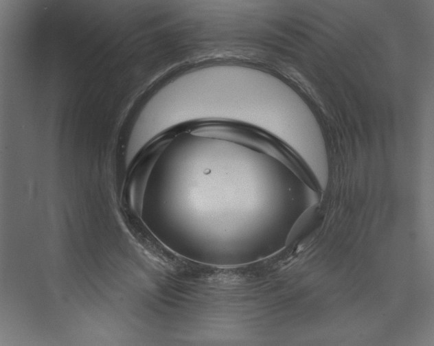 X0000073990444200608211352