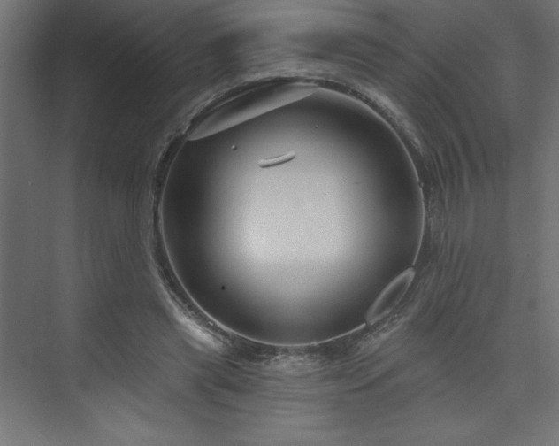 X0000073990445200608211352