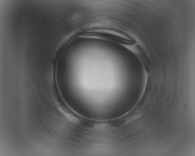 X0000073990446200608211352