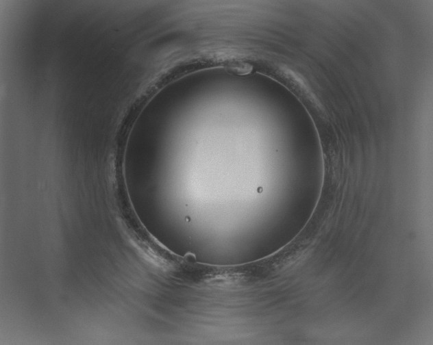 X0000073990447200608211352