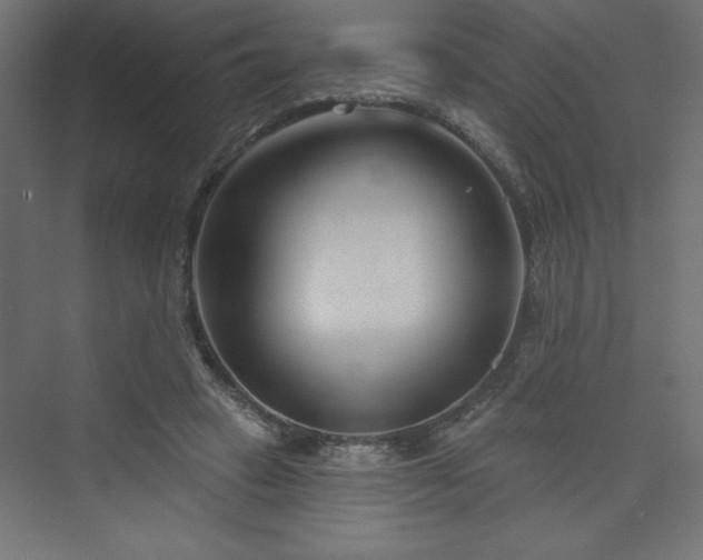 X0000073990449200608211352