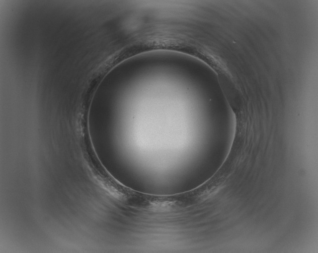 X0000073990450200608211352