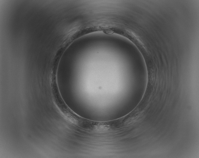 X0000073990451200608211352