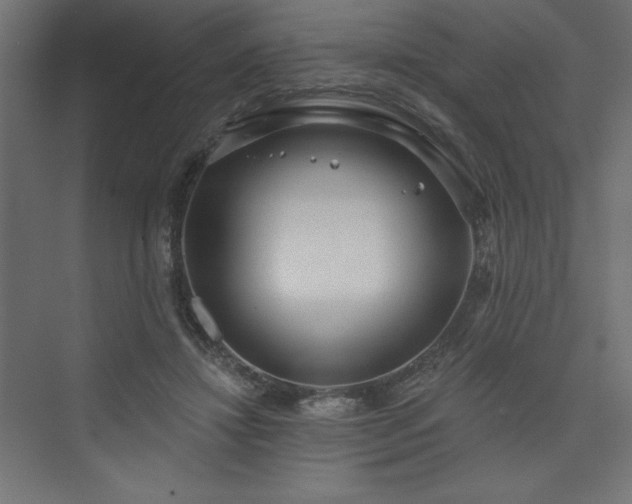 X0000073990452200608211352