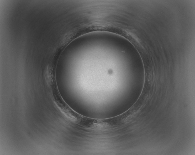 X0000073990455200608211352