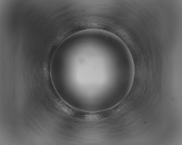 X0000073990457200608211352