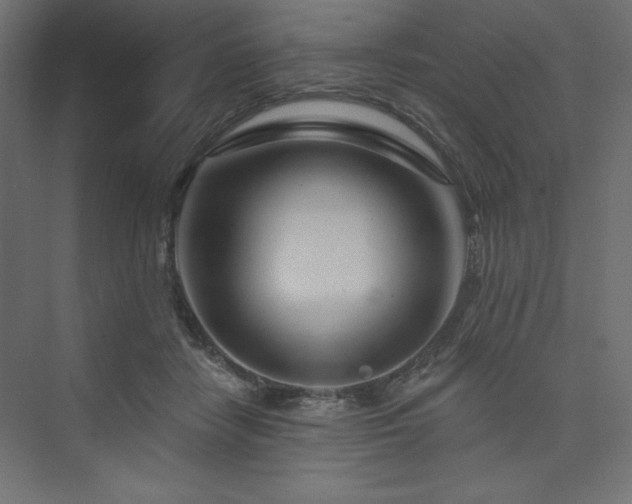 X0000073990458200608211352