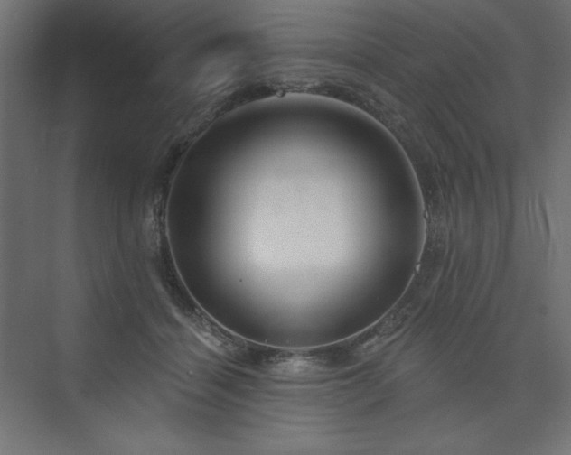 X0000073990460200608211352