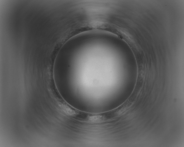 X0000073990461200608211352