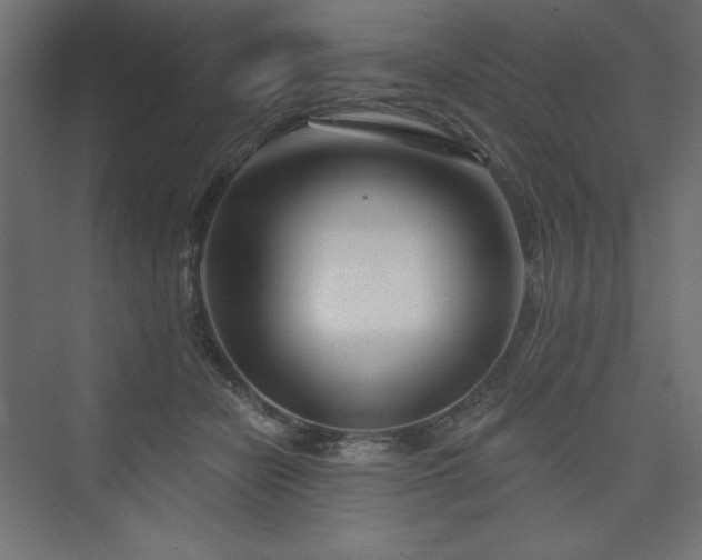 X0000073990462200608211352