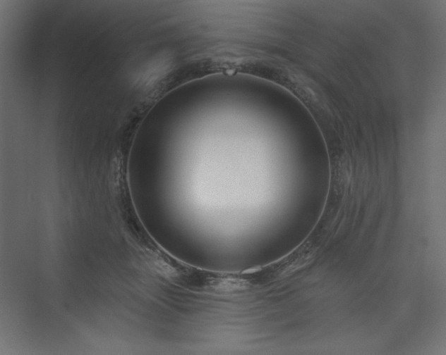 X0000073990463200608211352