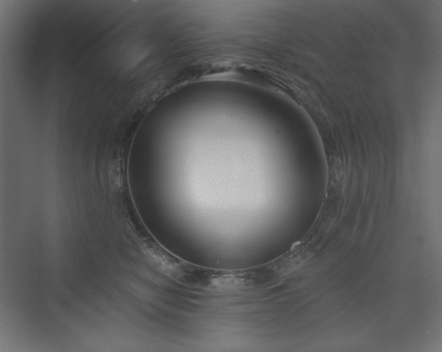 X0000073990470200608211352