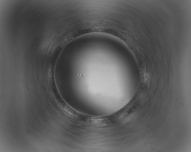 X0000073990472200608211352