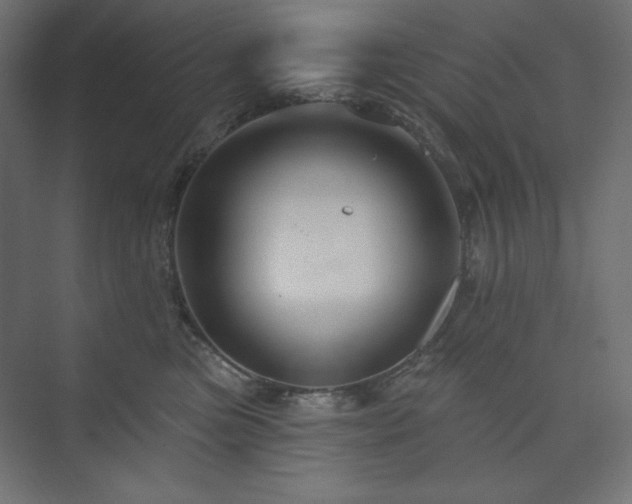 X0000073990473200608211352