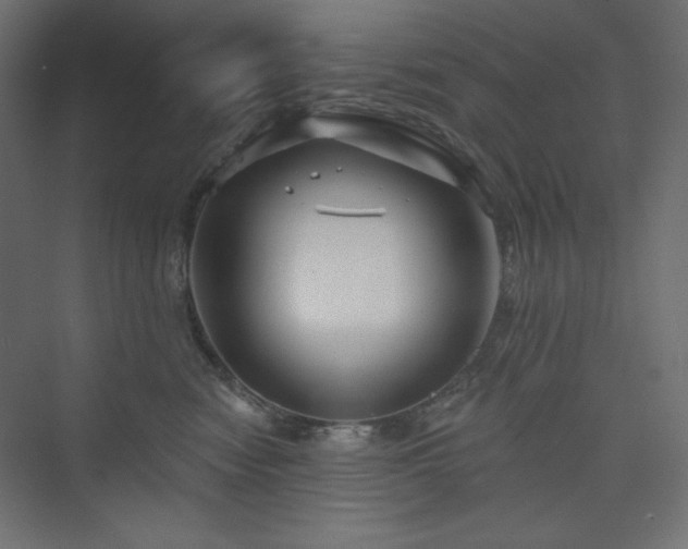 X0000073990474200608211352