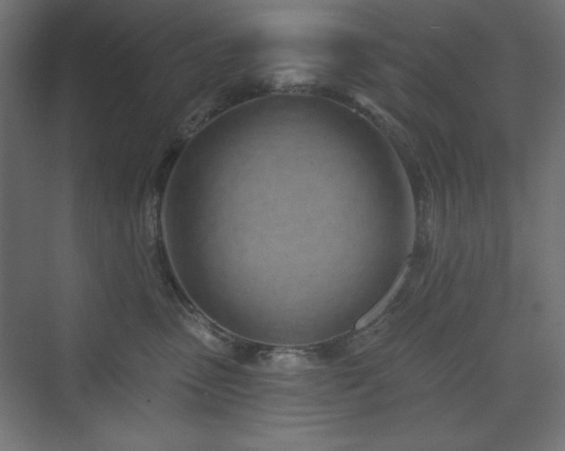 X0000073990475200608211353