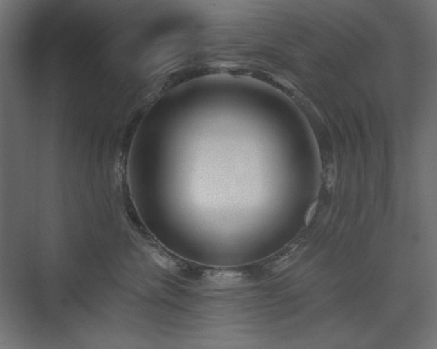 X0000073990476200608211353