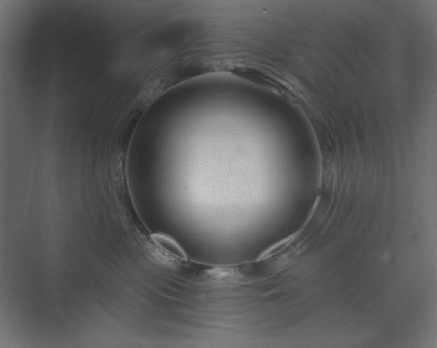 X0000073990477200608211353