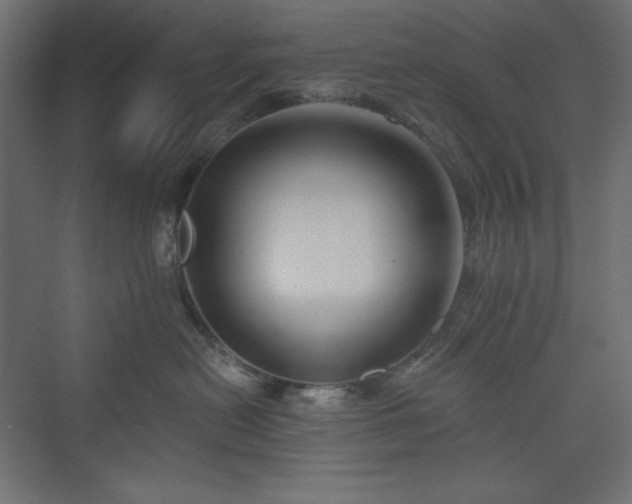 X0000073990478200608211353