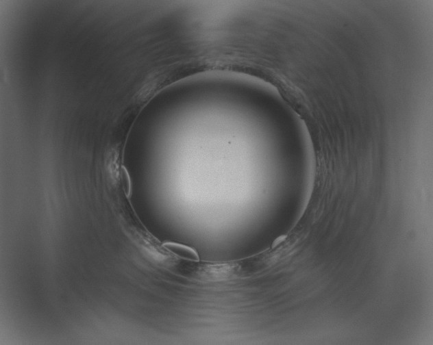 X0000073990479200608211353