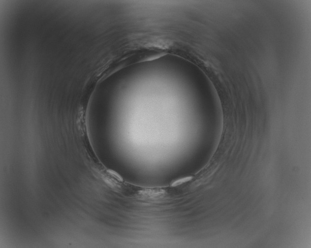 X0000073990480200608211353