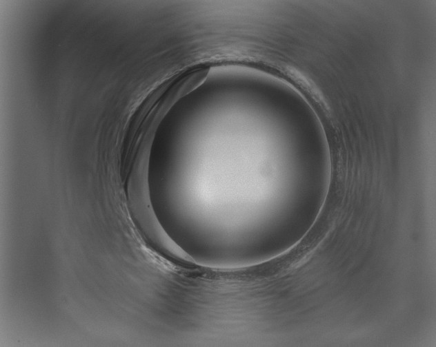 X0000073990481200608211352