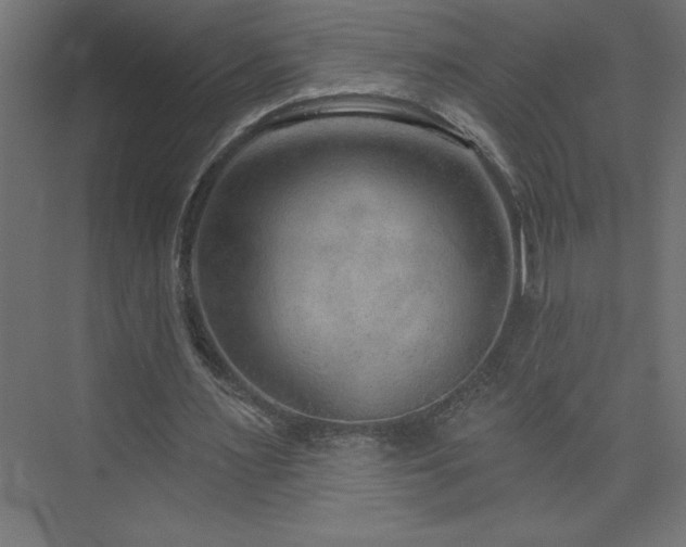 X0000073990483200608211352