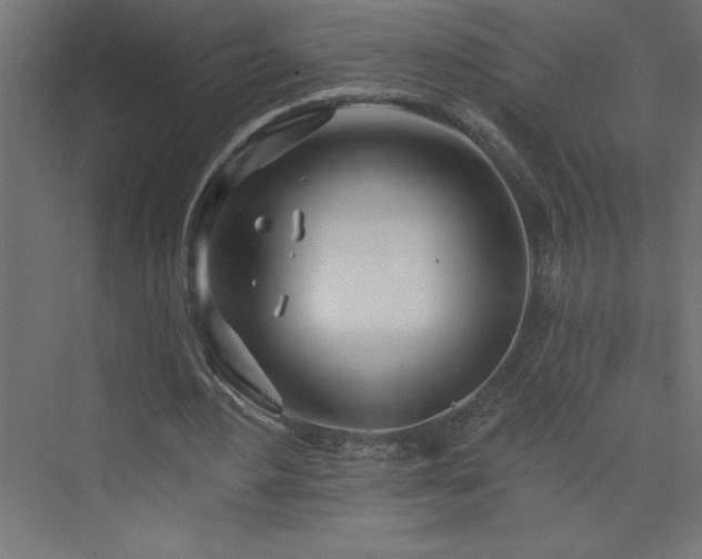 X0000073990484200608211352