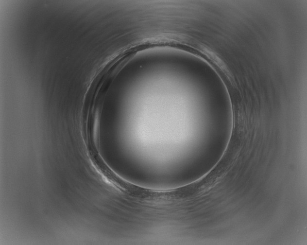 X0000073990485200608211352