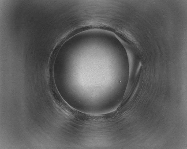 X0000073990488200608211352