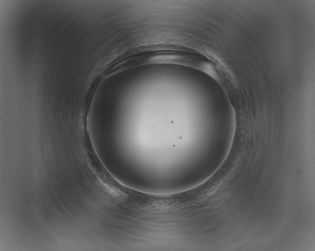 X0000073990489200608211352