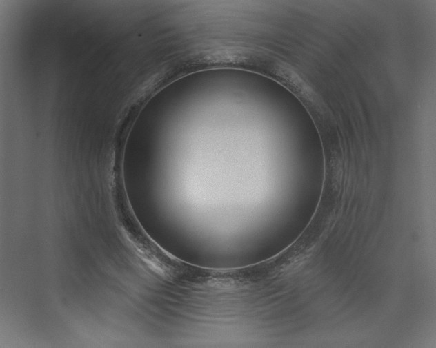 X0000073990490200608211352