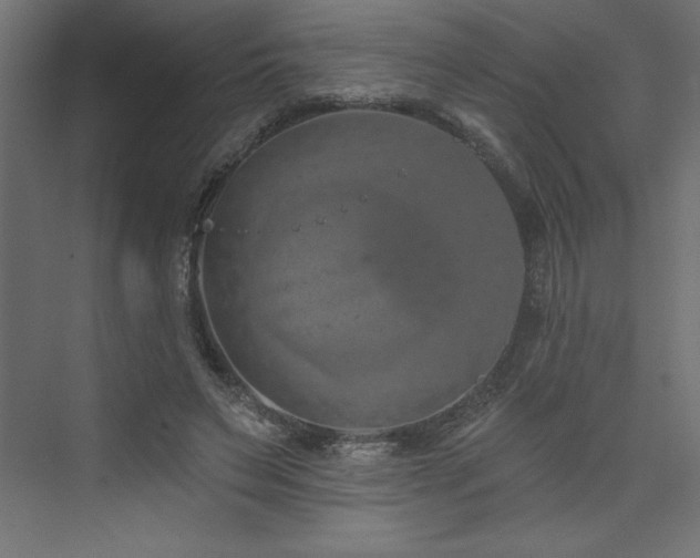 X0000073990495200608211352